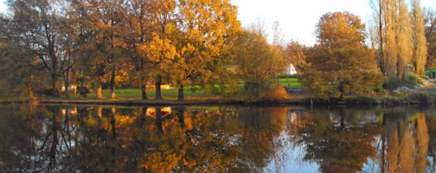 Natural Area Camping pond Puy