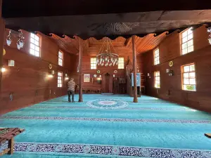 Beldeğirmeni Köyü Çınarı Tabiat Anıtı