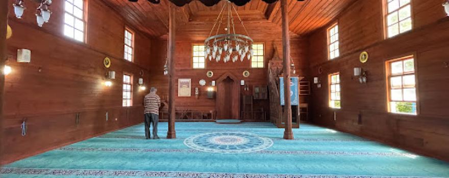 Beldeğirmeni Köyü Çınarı Tabiat Anıtı