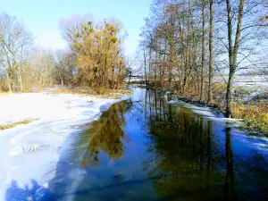 Rehionalʹnyy Landshaftnyy Park "Hadyatsʹkyy"