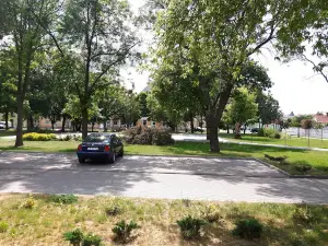 Park Miejski im. Zubów
