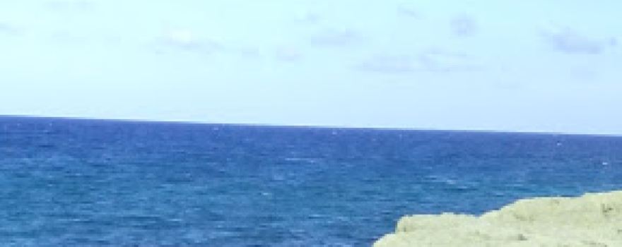 St. Ann Polo Club