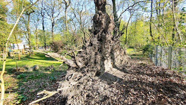 Experience Fredenbaum - BIG TIPI