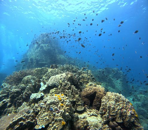 Nava Scuba Diving