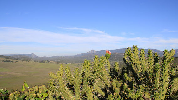 Mirador de La Coracha Park