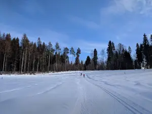 Sportivno-Ozdorovitel'nyy Klub "Gabo"
