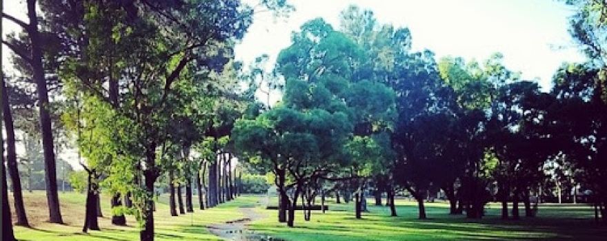 John Macmillan Park