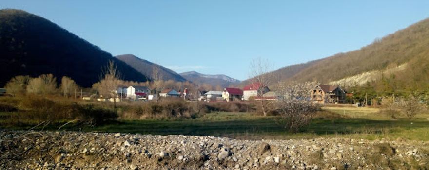 Zelenaya Dubrava