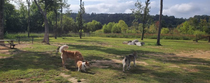 Moody Dog Park