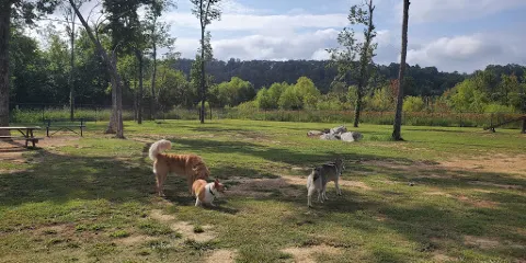 Nemo Dog Park