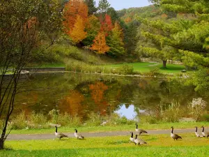Deer Lakes Park