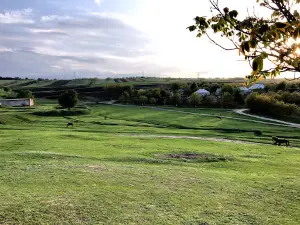 Stadion Ghiliceni