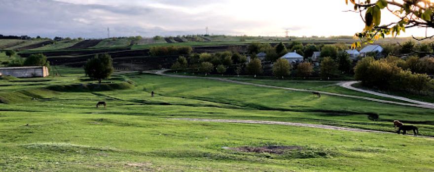 Stadion Ghiliceni