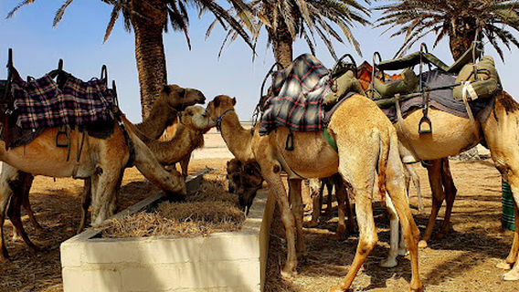 Swakopmund
