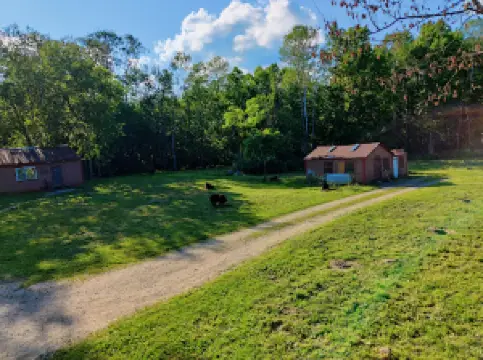 American Bear Association