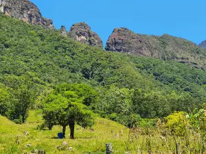 Fish Pay and Camping Rio Cow