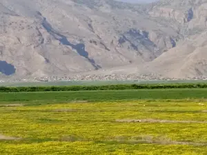 Takhti Stadium