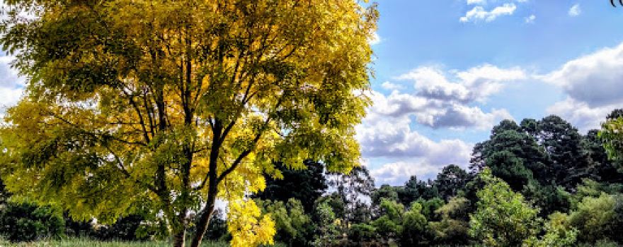 Linton Recreation Reserve