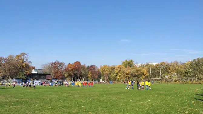 Rugby Stadium Ghencea II