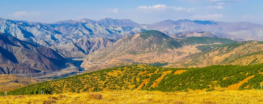 KOZLU CAMPİNG