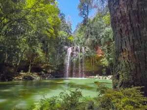 RPPN Serra do Pitoco