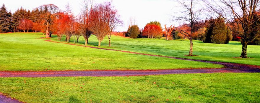 Castlecomer Golf Club