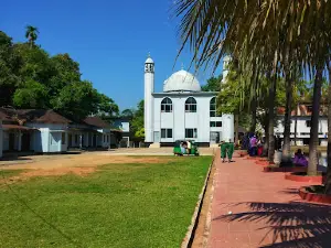 Fultali Saheb Bari Jame Masjid