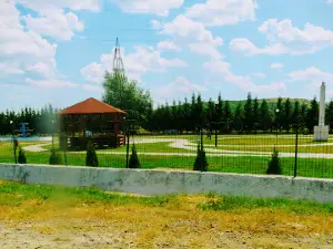 PARC Fârțănești