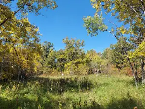 Brandon Hills Wildlife Management Area Trailhead