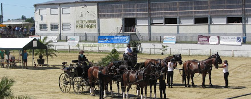 Reitverein Reilingen e.V.
