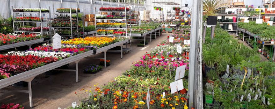 Merel Horticulture : Jardinerie de la Seiche
