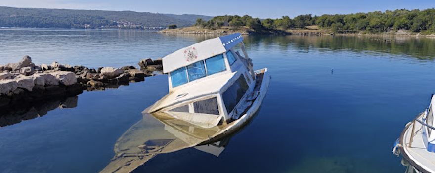 Plaža Za Pse