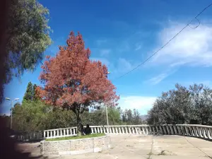 Flores Park