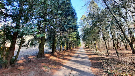 Arboretum of Gödöllő