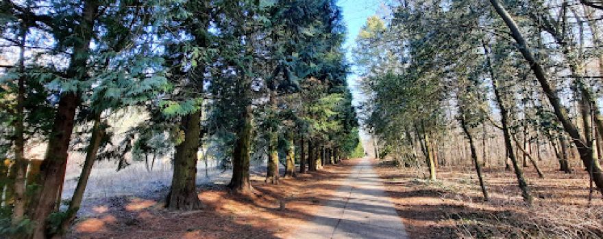 Arboretum of Gödöllő