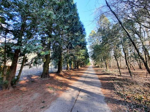 Arboretum of Gödöllő