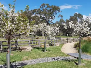 Avoca Chinese Garden