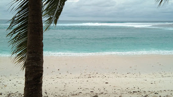 Bosua