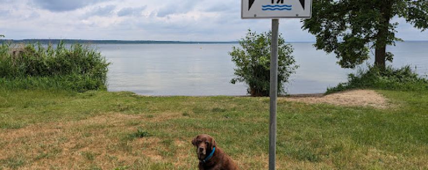 Hundestrand