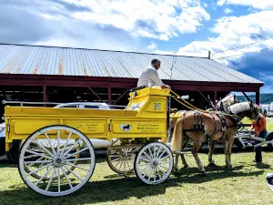 Addison County Fair & Field Days