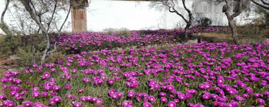 Parque de La Bruja