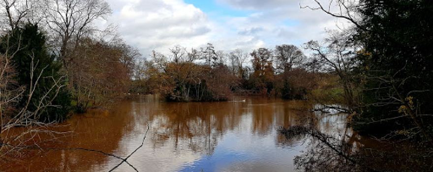 Bishop's Field Nature Reserve