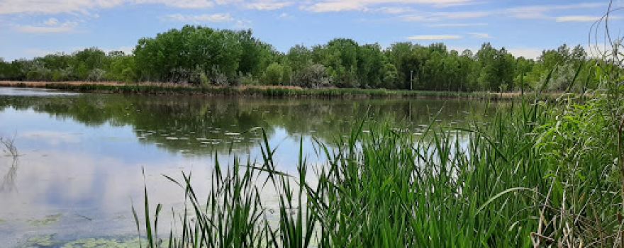 Widefield Disc Golf Course