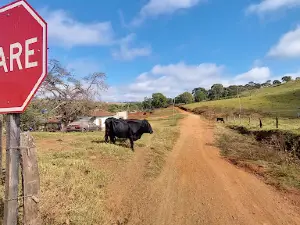 Damolândia