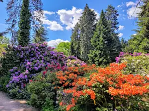 Arboretum Kórnickie. Instytut Dendrologii PAN