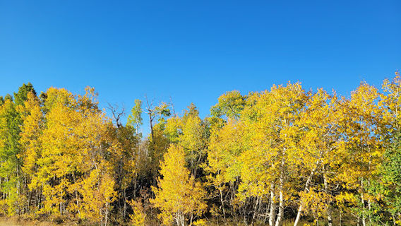 Kolob Terrace Rd