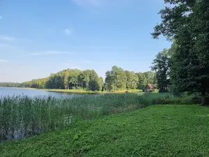 Laukezers