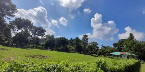 Chittagong University Botanical Garden