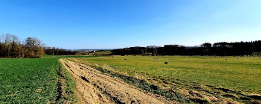 Swingolf Angerhof