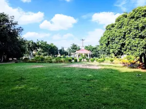 Sector-7 Park